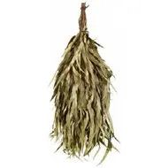 Saunatak (Eucalyptus)