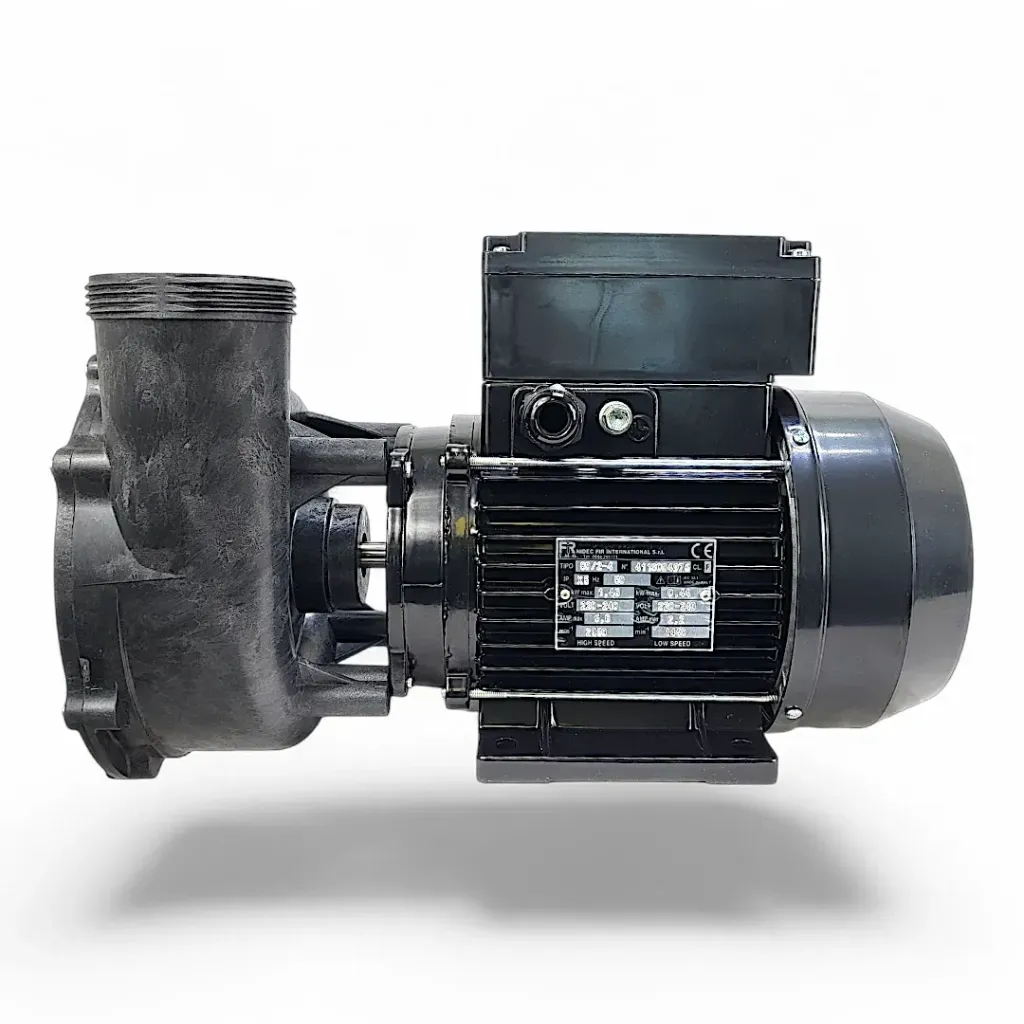 Pump 4 BHP 2 Sp European 50 Hz Assembly M