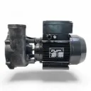 Pump 4 BHP 2 Sp European 50 Hz Assembly M