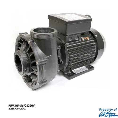 3 HP SWIM SPA PUMP 2 SPEED 2.5 INCH in/out 56 FRAME 220 Volts 50 HZ